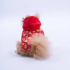 25513-PAWSTAR LİSBON SUNSET YAĞMURLUK ELBİSE