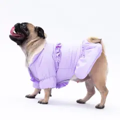 24522-PAWSTAR LİLA ELİZABETZ YAĞMURLUK ELBİSE