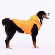 25109-PAWSTAR MBEYA GOLD YELEK ELBİSE