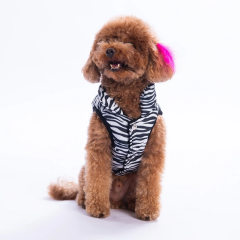 25107-PAWSTAR LODWAR STREET YELEK ELBİSE