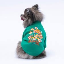 24737-PAWSTAR YEŞİL CHONGGİNG SWEAT ELBİSE