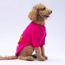 24757-PAWSTAR PEMBE CARMEL BÜYÜK IRK SWEAT ELBİSE