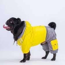 23517-PAWSTAR SARI-GRİ BİCOLOR TULUM YAĞMURLUK ELBİSE