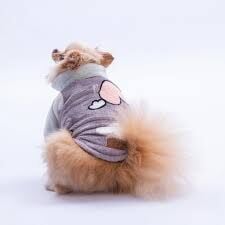 25204-PAWSTAR GRİ VERONA KİSS CEKET ELBİSE