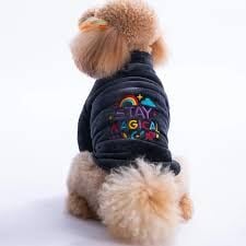 25208-PAWSTAR ANTRASİT JAİPUR MAGIC CEKET ELBİSE