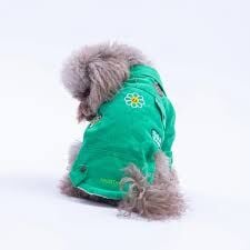 25212-PAWSTAR YEŞİL CANCUN POP CEKET ELBİSE