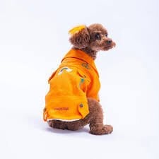 25211-PAWSTAR TURUNCU CANCUN POP CEKET ELBİSE