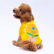 24741-PAWSTAR SARI LAHTİ SWEAT ELBİSE