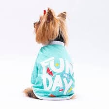 24716-PAWSTAR MİNT FUN DAY SWEAT ELBİSE