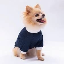 24728-PAWSTAR LACİVERT SHİNE SWEAT ELBİSE