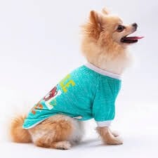 24720-PAWSTAR MİNT DUDE SWEAT ELBİSE