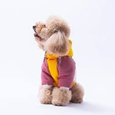 25703-PAWSTAR SARI RİO HOODİE ELBİSE