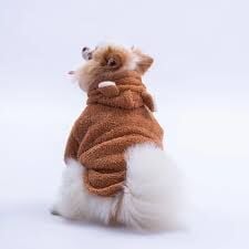 25724-PAWSTAR KAHVE LUCCA TEDDY HOODİE ELBİSE