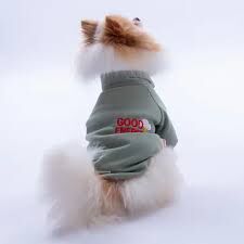 25718-PAWSTAR YEŞİL SEATTLE SWEAT ELBİSE