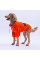 25720-PAWSTAR TURUNCU DOHA GO SWEAT ELBİSE