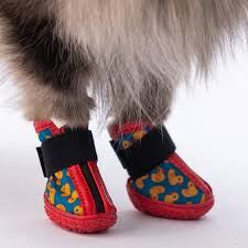 PDS03-2 PAWSTAR DUCKS KÖPEK AYAKKABISI