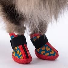 PDS03-1 PAWSTAR DUCKS KÖPEK AYAKKABISI