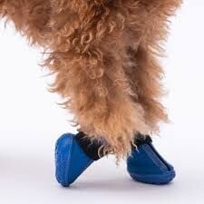 PDS07-1 PAWSTAR MAVİ KÖPEK AYAKKABISI