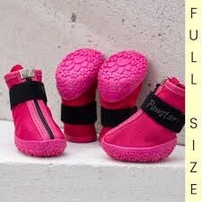 PDS02-6 PAWSTAR FUŞYA KÖPEK AYAKKABISI