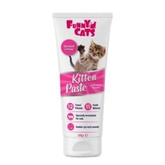YNC-3088 FUNNY CATS KİTTEN PASTE 100GR
