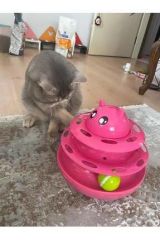 HACI YATMAZLI ÜÇ KATLI KEDİ OYUNCAĞI