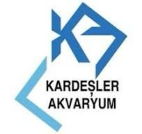 Ev Ortamına En Uygun Hayvanlar
